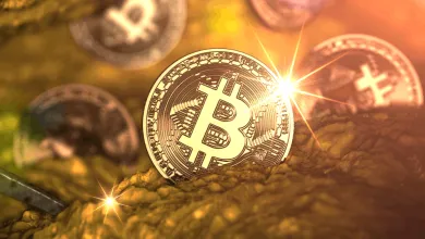 Pasívny príjem z ťažby kryptomien