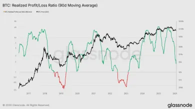 Pomer realizovaného zisku a straty