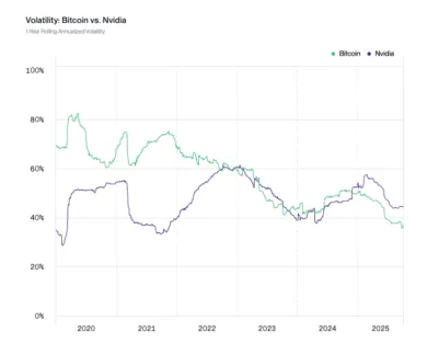 Volatilita Bitcoinu vs Nvidia