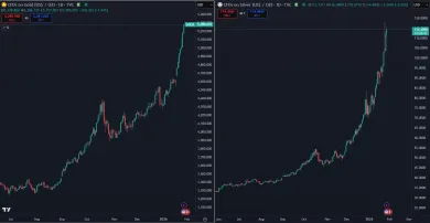 Zlato a striebro v rekordnom raste