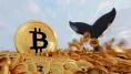 Bitcoin dokupujú milionári