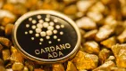 Cardano a dôležité aktualizácie