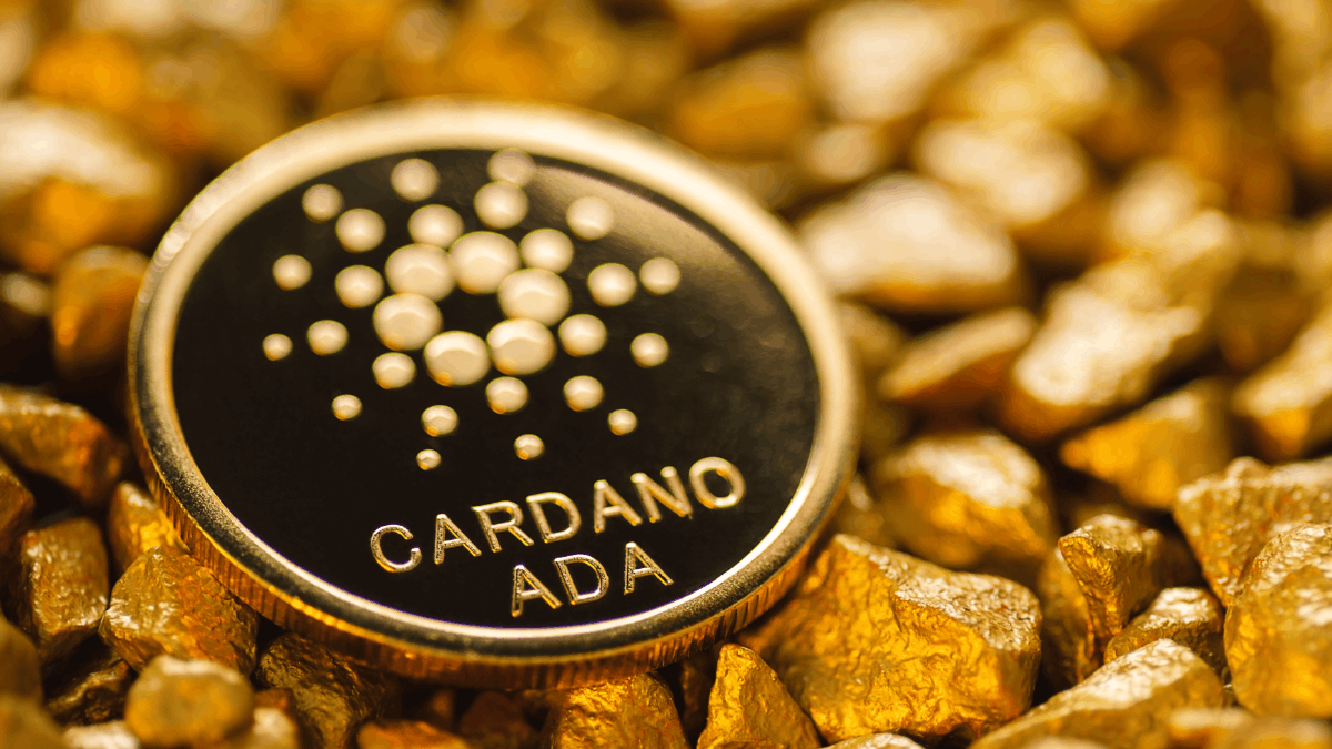 Cardano a dôležité aktualizácie