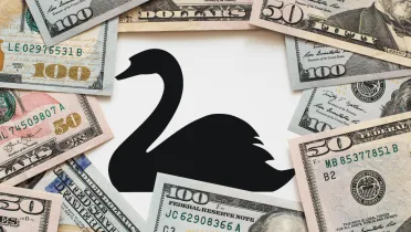 Čierna labuť a potenciálna kríza