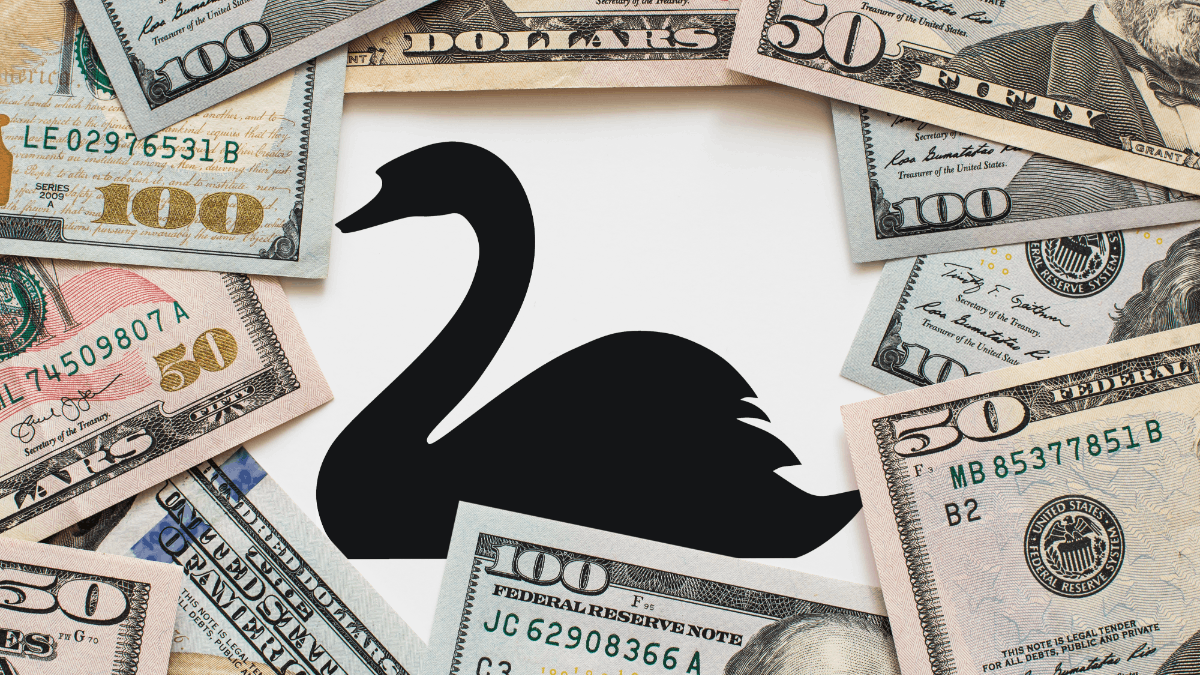 Čierna labuť a potenciálna kríza