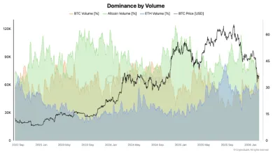 Dominancia podľa objemu obchodovania