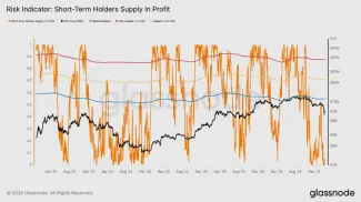 Krátkodobí držitelia v zisku
