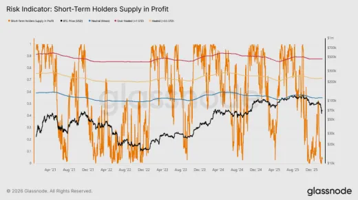 Krátkodobí držitelia v zisku