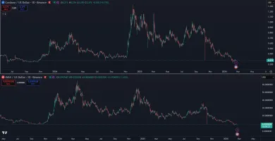 Kryptomeny, ktoré vymazali všetky zisky