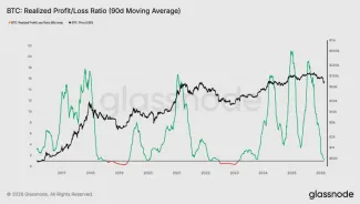 Pomer ziskov a strát