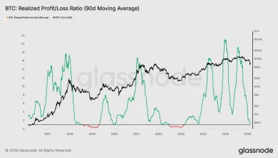 Pomer ziskov a strát
