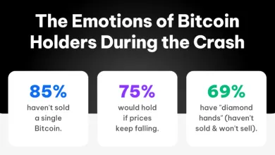 85 % investorov počas korekcie nepredalo Bitcoin