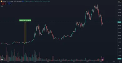 Bitcoin a jeho zhodnotenie od Covidu