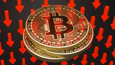 Bitcoin čaká pár mesiacov poklesu