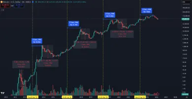 Bitcoin opakuje halvingové cykly s presnosťou