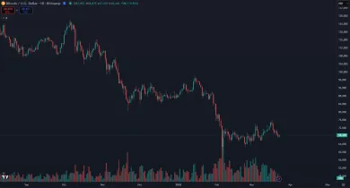 Bitcoin padol o 50 %