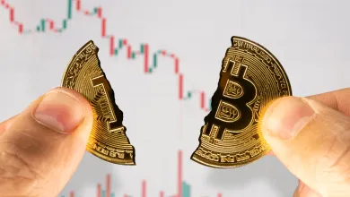 Bitcoin začína formovať dlhodobé dno