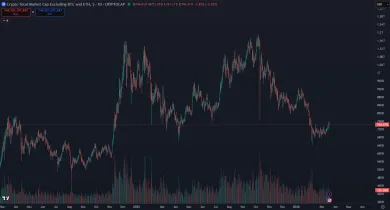 Kapitalizácia bez BTC a ETH