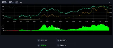 Nakupujeme Bitcoin 8 rokov mesačne po 100 eur