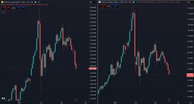 Obrovská volatilita drahých kovov