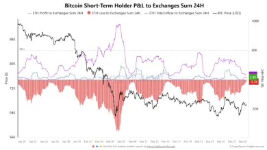 Pomer ziskov a strát na burzách u krátkodobých držiteľov
