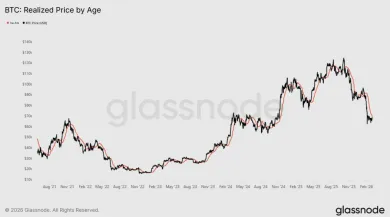 Realizovaná cena podľa veku