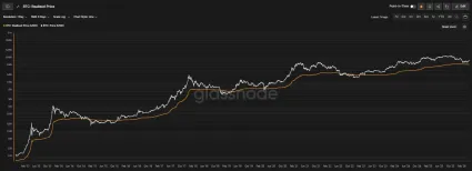 Bitcoin a jeho trhov&aacute; a realizovan&aacute; cena
