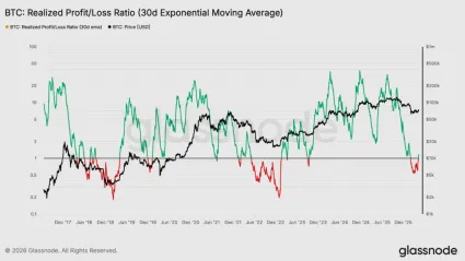 Bitcoin a pomer realizovan&eacute;ho zisku a straty