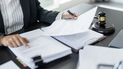 Daňovo-odvodov&eacute; zaťaženie na SR je vysok&eacute;