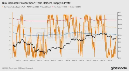 Percento krátkodobých držiteľov v zisku