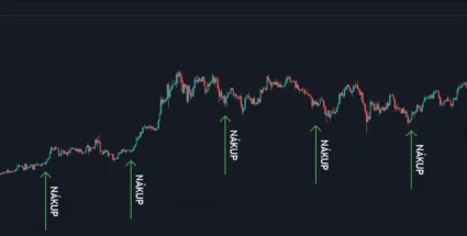 Pravideln&eacute; dokupovanie cez DCA