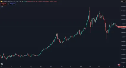Zlato za posledný rok