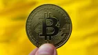 Bitcoin dominuje napriek vysokému počtu kryptomien