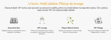 VIP pr&iacute;stup