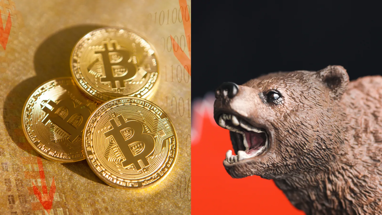 Bitcoin pokračuje v cenovom páde