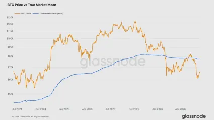 Bitcoin verzus True Market Mean