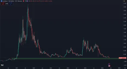 Cardano na viac ako 5 ročnom minime