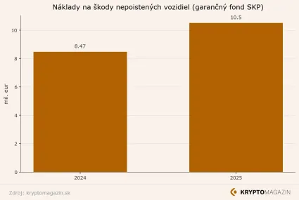 Ročn&eacute; n&aacute;klady na &scaron;kodu
