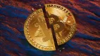 Bitcoin po halvingu