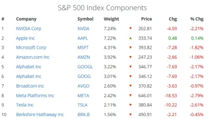 Percentuálne zastúpenie top 10 firiem v S&P 500