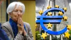 Úroková sadzba a ECB