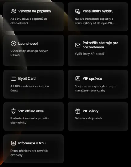 V&yacute;hody VIP programu