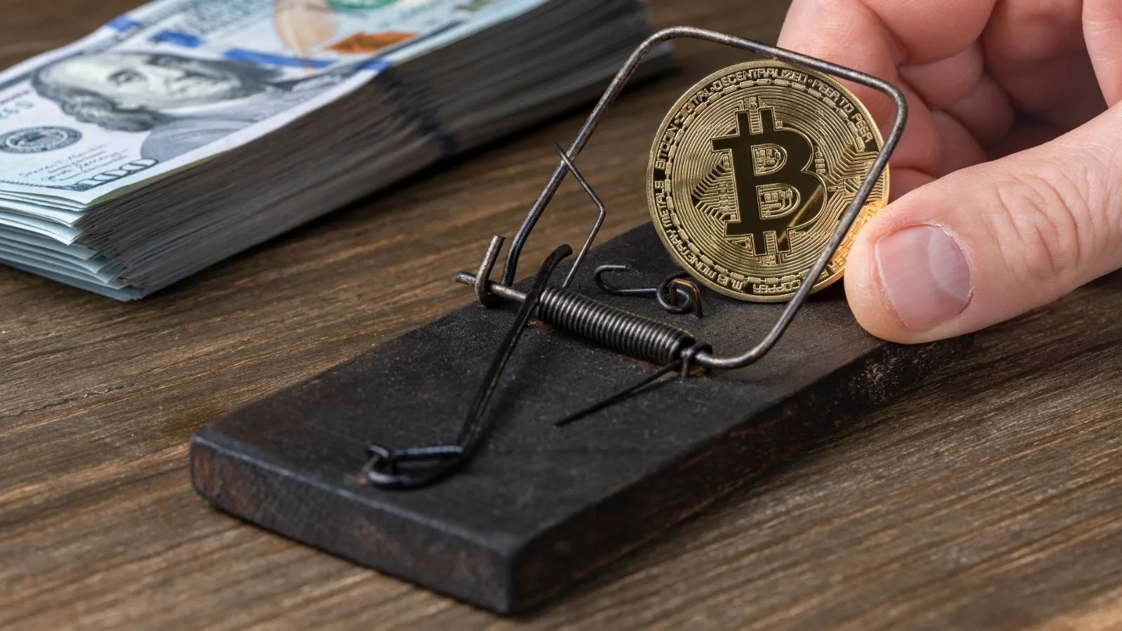 Bitcoin signalizuje rast chamtivosti