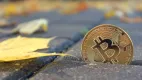 Bitcoin a jeho sezónnosť
