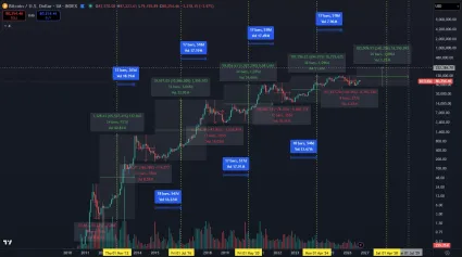 Bitcoin a historické rastúce cykly