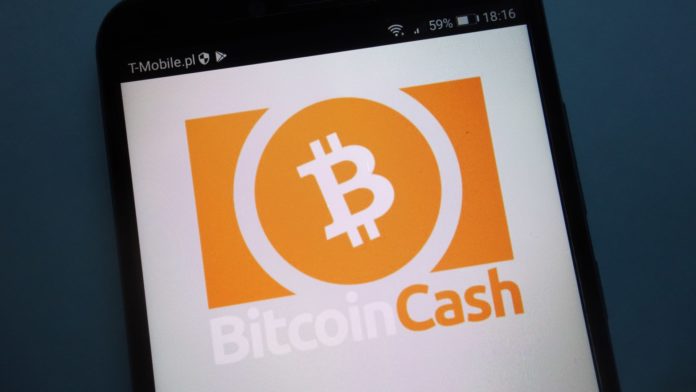 Bitcoin cash a pálenie mincí - o čo ide? Zdroj: shutterstock.com/PiotrSwat Bitcoin cash a pálenie mincí - o čo ide?