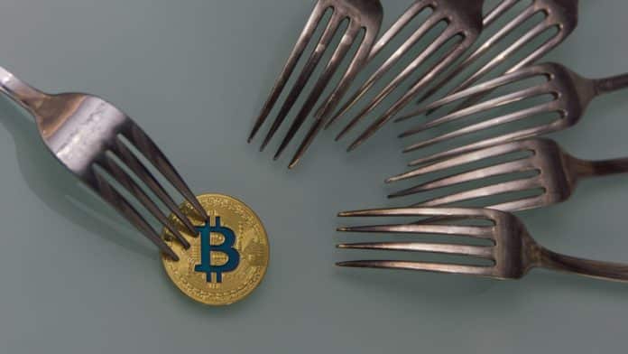 Krátky sprievodca Bitcoin forkov. Zdroj: shutterstock.com/YuriShebalius Krátky sprievodca Bitcoin forkov.