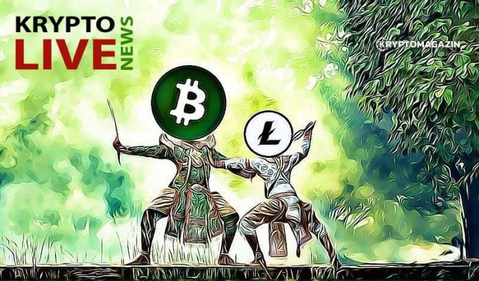 Krypto News LIVE stream Krypto News LIVE stream