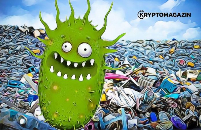 bacteria plastics bacteria plastics