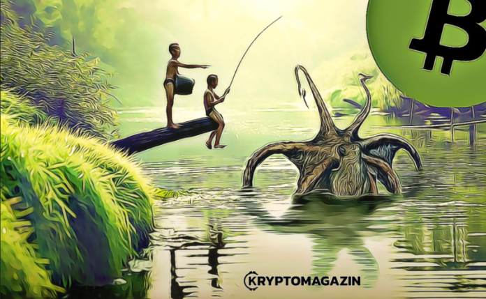 bitcoin kraken bitcoin kraken